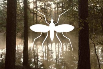 Mosquito by Marco Livolsi from the Noun Project, Photo by Vidar Kristiansen on Unsplash